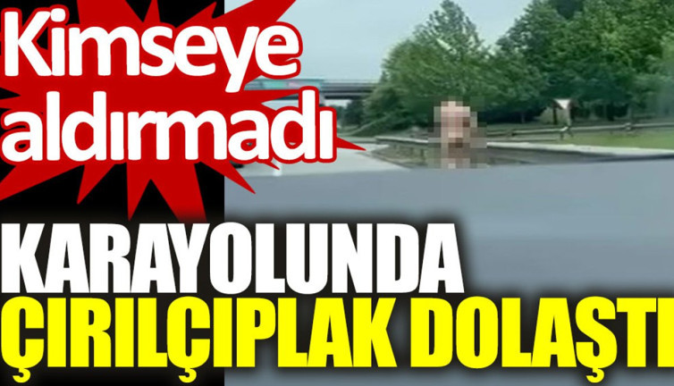 Kocaeli’de ilginç görüntü: Kimseye aldırmadı, karayolunda çırılçıplak dolaştı