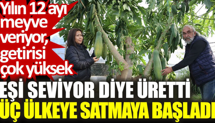 Eşi seviyor diye üretti, üç ülkeye satmaya başladı: Yılın 12 ayı meyve veriyor, getirisi çok yüksek
