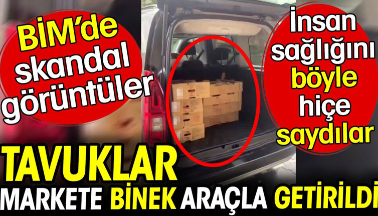BİM'de insan sağlığını hiçe sayan skandal görüntü. Tavuklar markete binek araçla getirildi