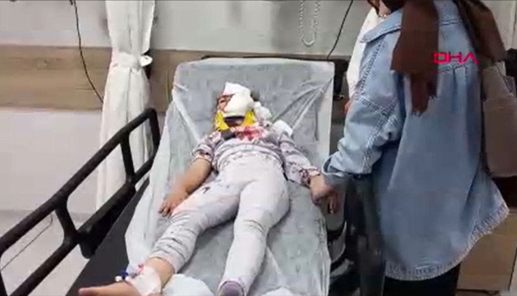 Diyarbakır’da piknik yapanların arasına at daldı. 1’i çocuk, 2 yaralı