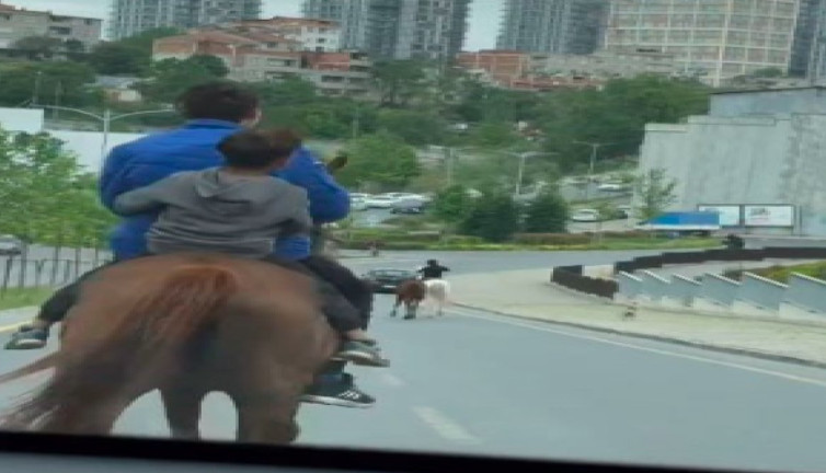 İstanbul'da trafiğe atlarla çıktılar