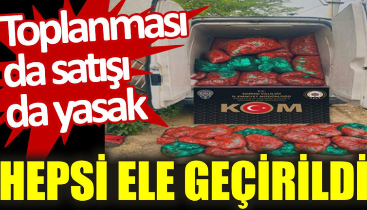 Toplanması da satışı da yasak: Hepsi ele geçirildi