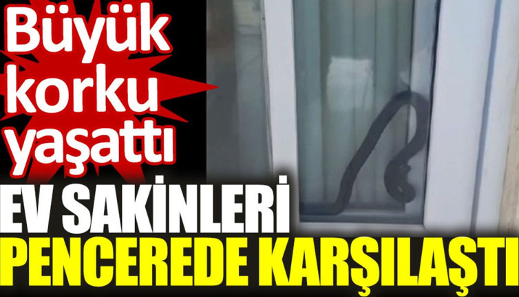 Ev sakinleri pencerede karşılaştı: Büyük korku yaşattı