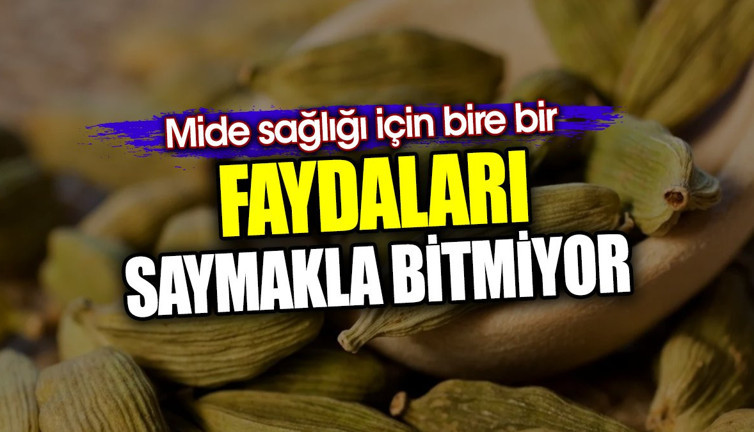 Faydaları saymakla bitmiyor. Mide sağlığı için bire bir