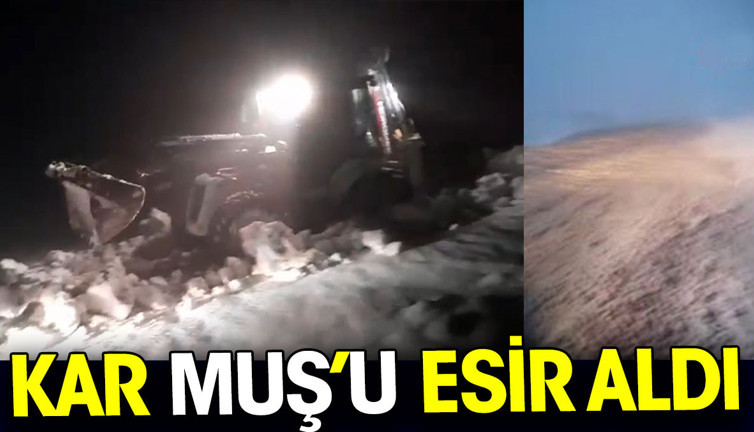 Kar Muş’u esir aldı