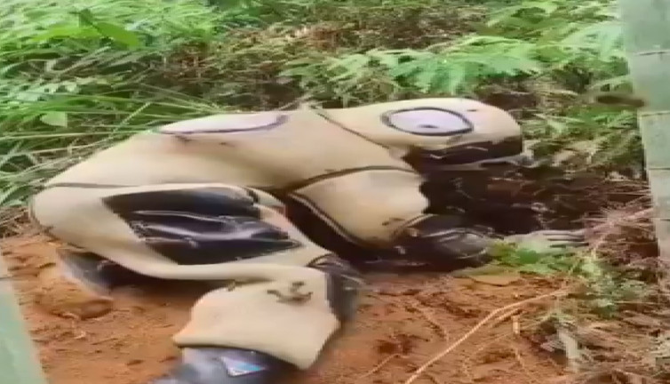 Arıcı üzerindeki koruyucu giysiye rağmen arı tarafından sokuldu