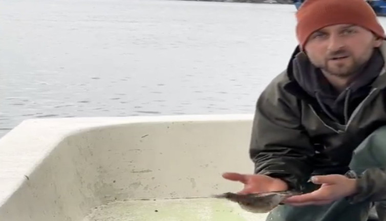 Balıkçı yakaladığı balığı öpüp denize geri bıraktı