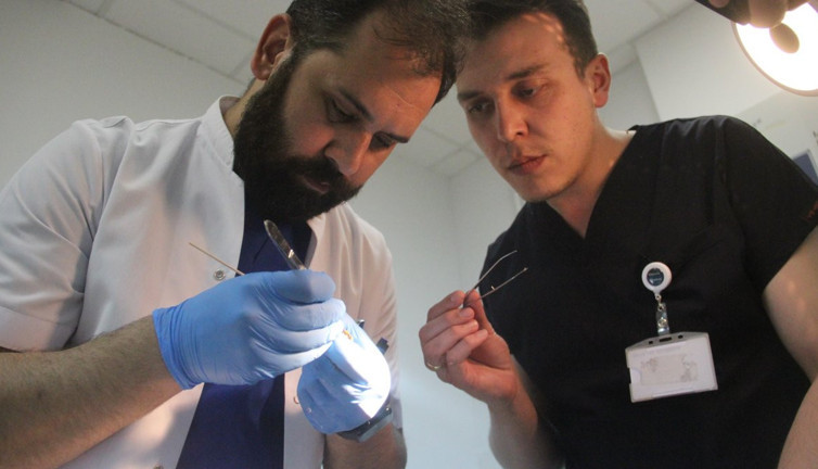 Hayvanseverler dikkat, uzmanı uyardı