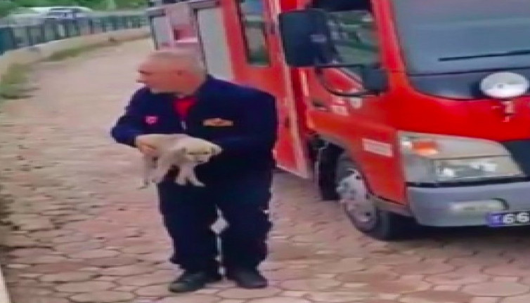 Dereye düşen köpeğin yardımına itfaiye koştu