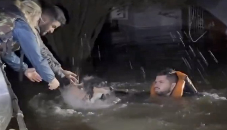 UFC dövüşçüsü Michel Pereira Brezilya'daki sel felaketinde sokak hayvanlarını kurtardı