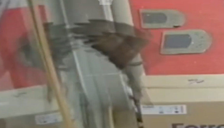 Uçarken hızını alamayan şahin iş yerinin camına çarptı