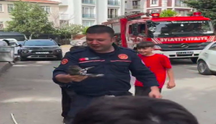 Kaldırımdaki boruya sıkışan yavru kediyi itfaiye kurtardı