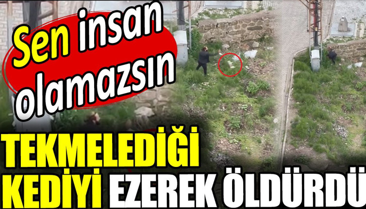 Tekmelediği kediyi ezerek öldürdü. Sen insan olamazsın