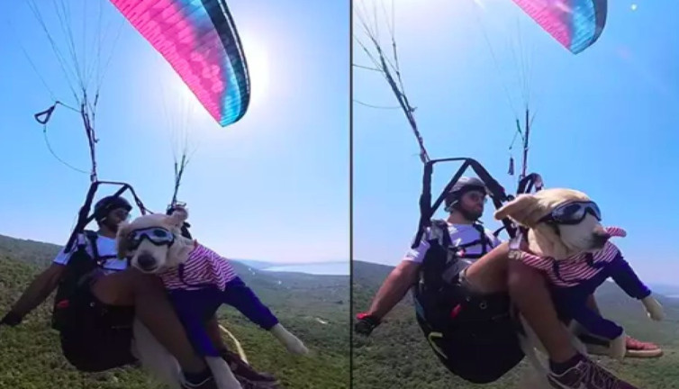 Yamaç paraşütçüsü köpeğiyle gökyüzünde: Badem'in serüveni