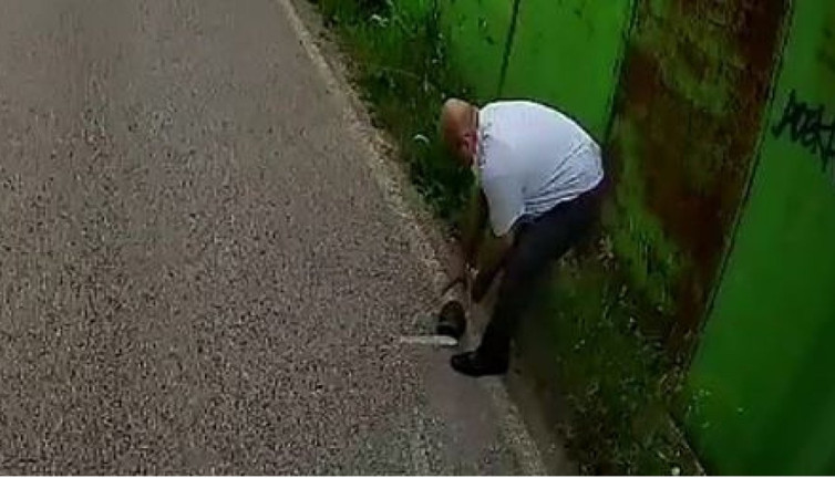 Otobüs şoförü kaplumbağayı ezilmekten kurtardı