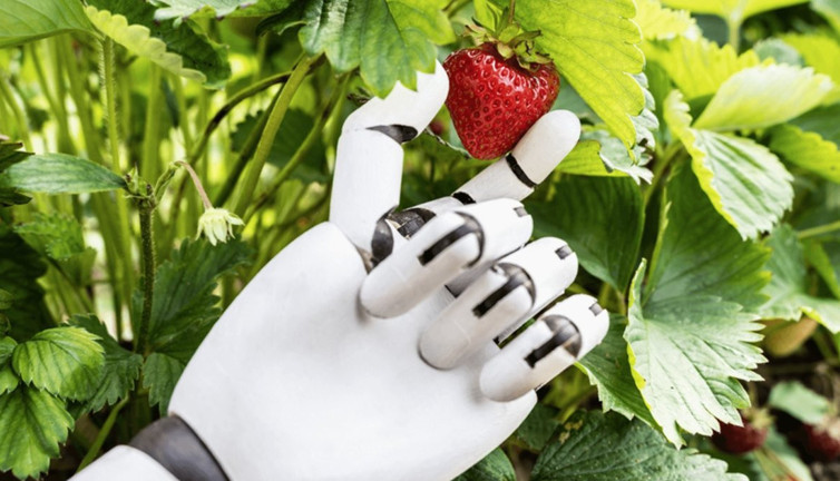 Tarımda yapay zeka sıçraması