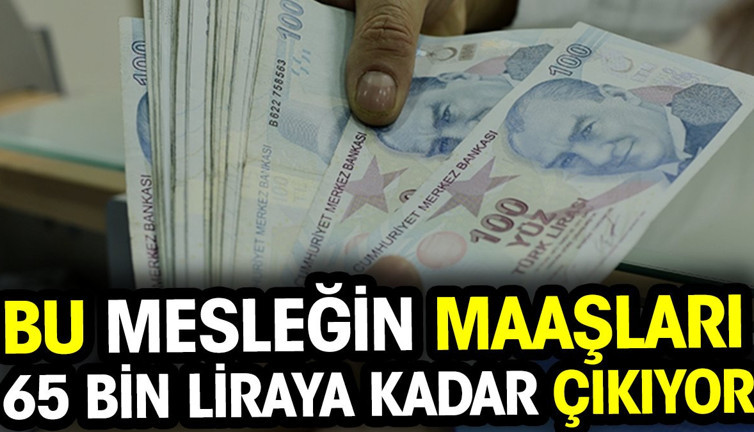 Bu mesleğin maaşları 65 bin liraya kadar çıkıyor
