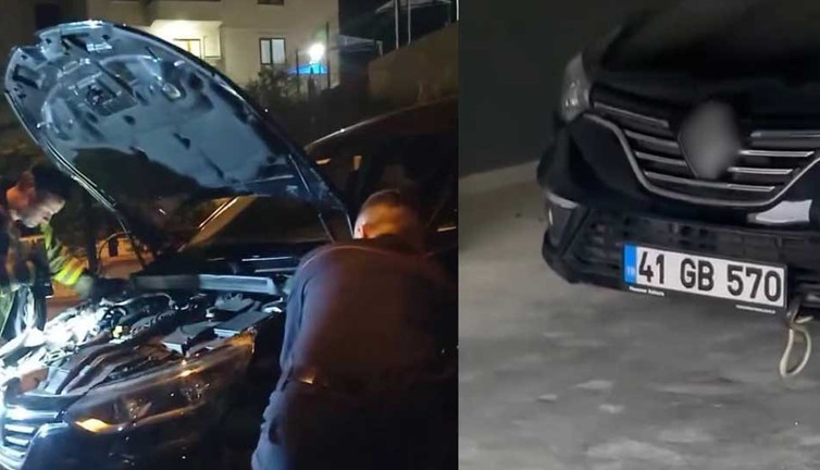 Otomobile giren yılanı gazla çıkardılar