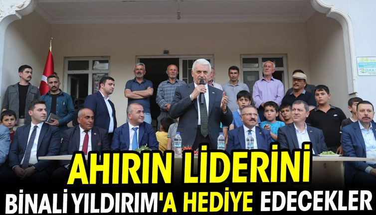 Ahırın liderini Binali Yıldırım'a hediye edecekler