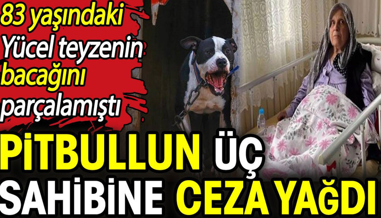 Pitbullun 3 sahibine ceza yağdı! 83 yaşındaki Yücel teyzenin bacağını parçalamıştı