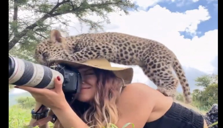 Yaban hayat fotoğrafçısı kadın ile yavru leoparın iç ısıtan anları