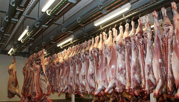 Et Süt Kurumu’ndan Ukrayna’dan gelen hastalıklı et itirafı: 20 ton karkas et imha edilecek