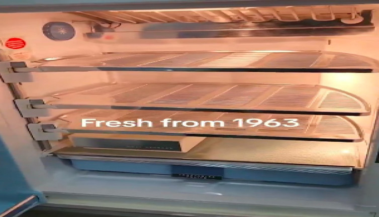 1963 model buzdolabı görenleri büyüledi: Eski tasarıma yeni hayranlık