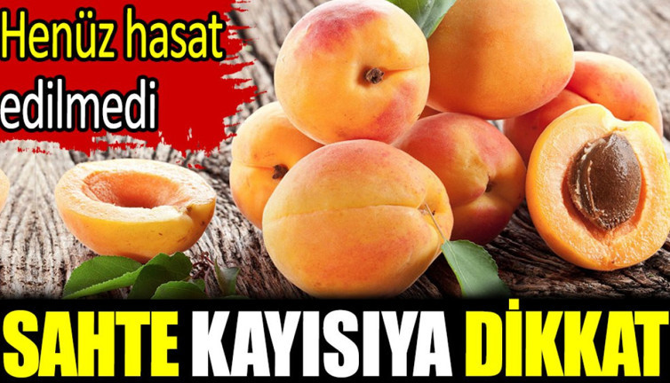 Sahte kayısıya dikkat. Henüz hasat edilmedi