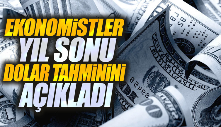 Ekonomistler yıl sonu dolar tahminini açıkladı