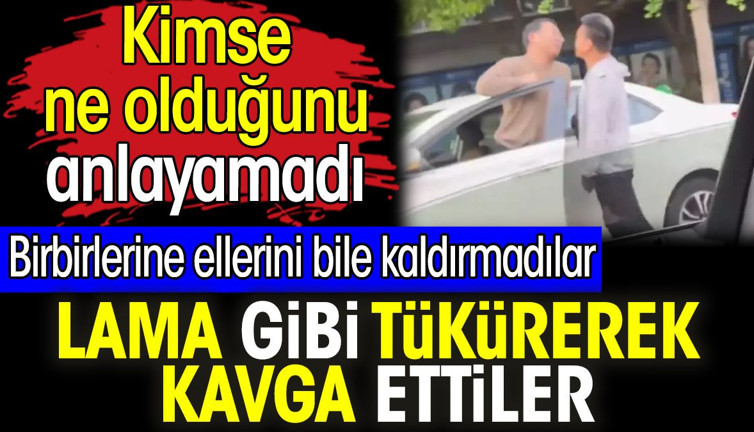 Lama gibi tükürerek kavga ettiler. Birbirlerine ellerini bile kaldırmadılar. Kimse ne olduğunu anlayamadı