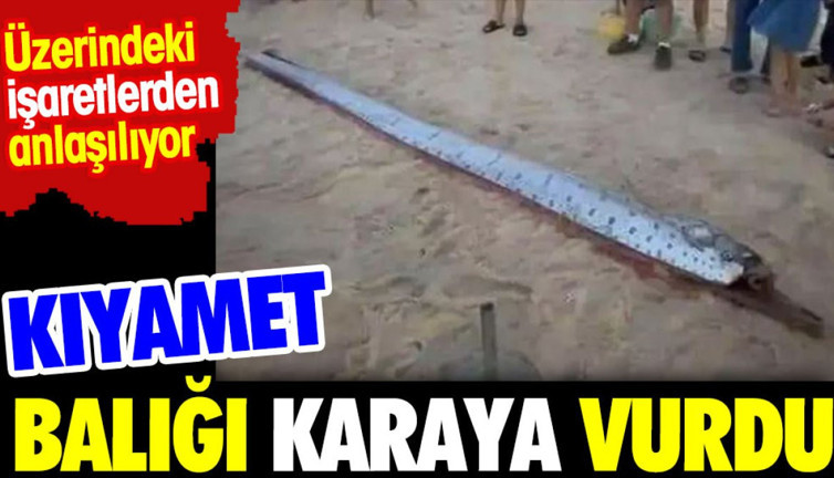 Kıyamet balığı kıyıya vurdu. Üzerindeki işaretlerden anlaşılıyor