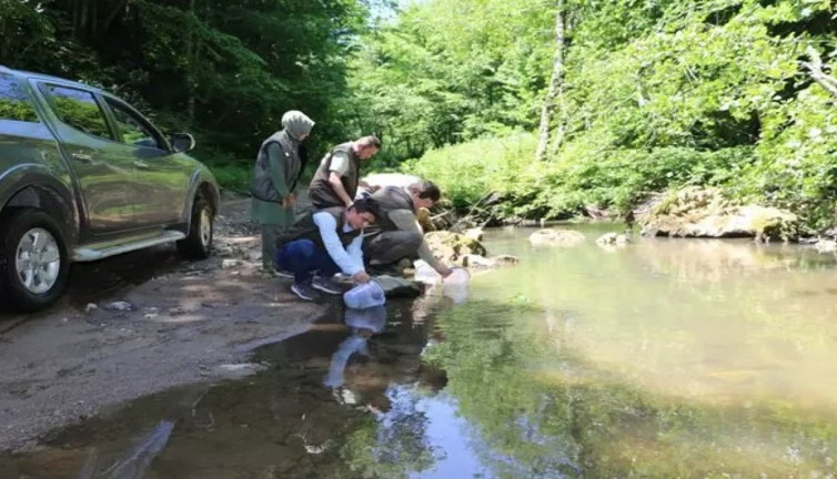 Bursa’nın iç sularına 12 bin alabalık salımı yapıldı