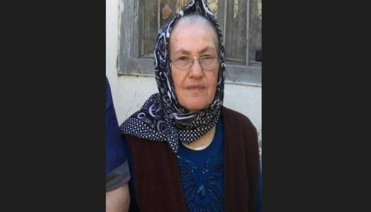 Üstüne bastı canından oldu