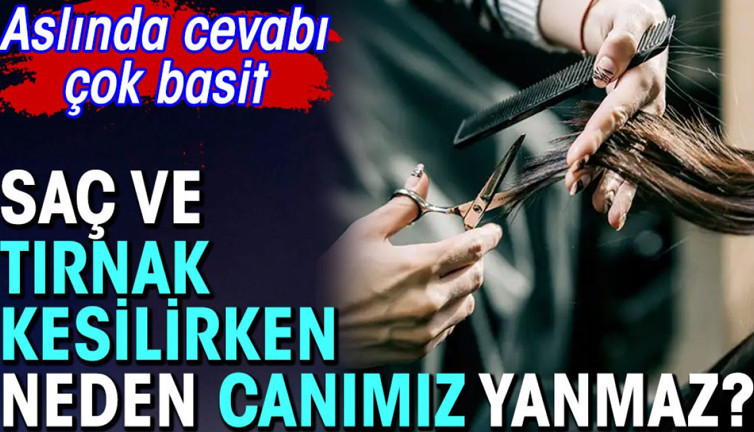 Saç ve tırnak kesilirken canımız neden yanmaz? Cevabı çok basit