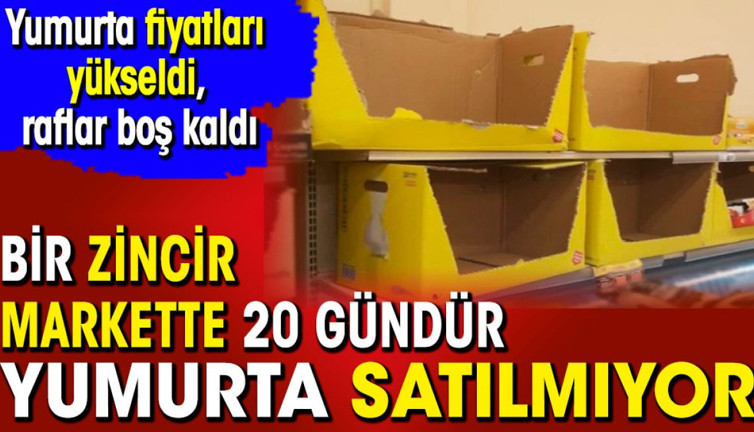 Bir zincir markette 20 gündür yumurta satılmıyor. Yumurta fiyatları yükseldi raflar boş kaldı
