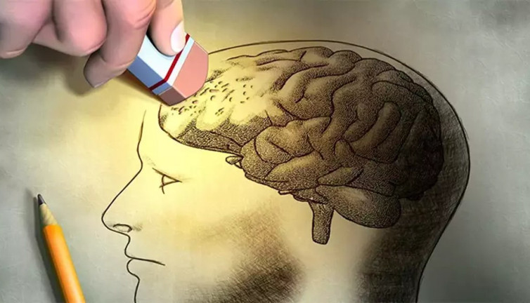 Beyni resetleyen bitkiler ortaya çıktı