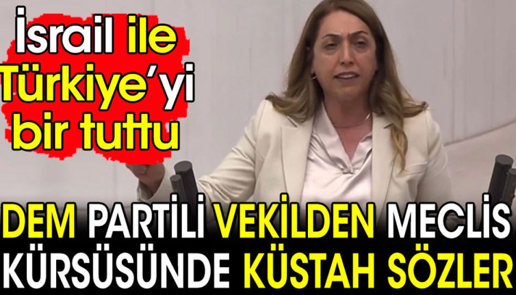 DEM Partili vekilden Meclis kürsüsünde küstah sözler. Türkiye'yi İsrail ile bir tuttu