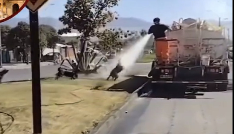 Sıcak havadan bunalan köpeklere hortumla su tutup serinleten görevli takdir topladı