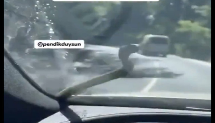 Trafikte ilerleyen aracın camına yılan düştü