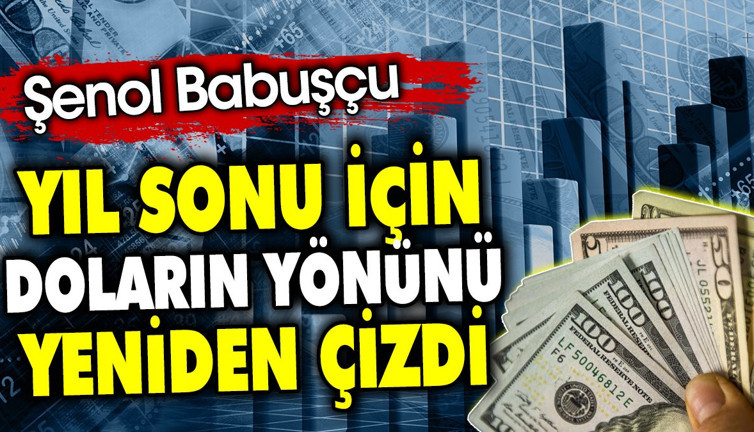 Şenol Babuşçu yıl sonu için doların yönünü yeniden çizdi