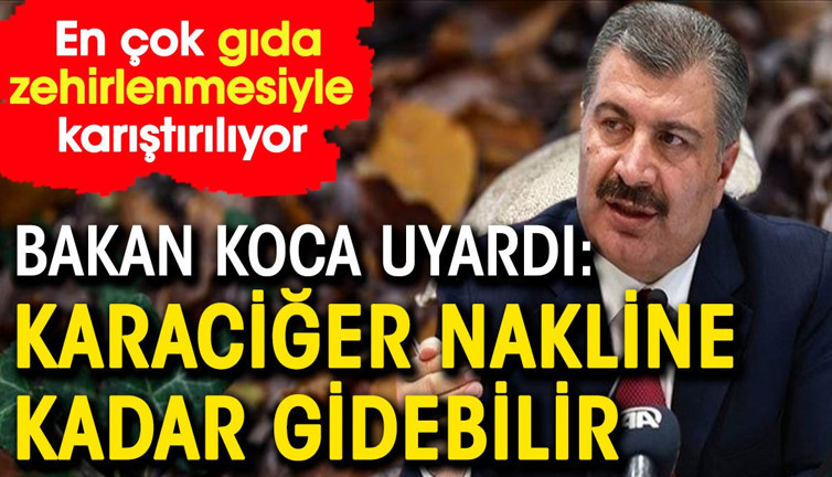 Bakan Koca uyardı: Karaciğer nakline kadar gidebilir