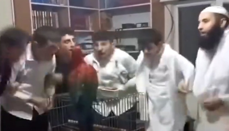 Zikir çeken papağanın görüntüleri izleyenleri güldürdü