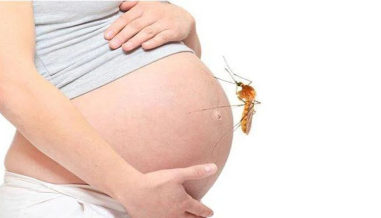 Hamile kadınların sivrisinekten kurtulma yöntemleri ortaya çıktı