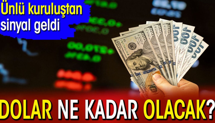 Dolar ne kadar olacak? Ünlü kuruluştan sinyal geldi