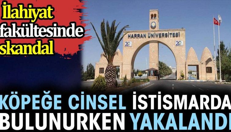 Köpeğe cinsel istismarda bulunurken yakalandı. İlahiyat fakültesinde skandal