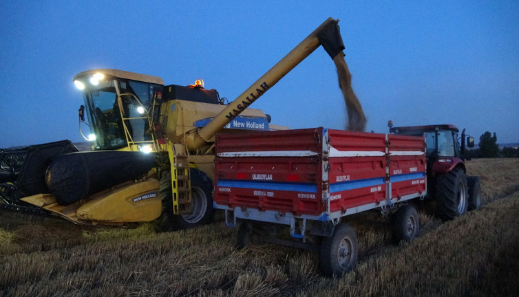 Hasadı 2 hafta erken başladı. Dönümü 130 TL