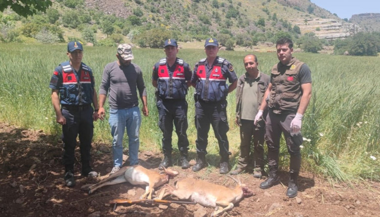 Yaban keçisi avına 613 bin 980 TL ceza