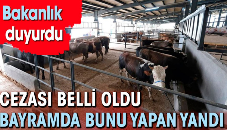 Bakanlık duyurdu. Cezası belli oldu bayramda bunu yapan yandı