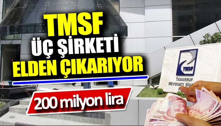 TMSF üç şirketi elden çıkarıyor! 200 milyon lira
