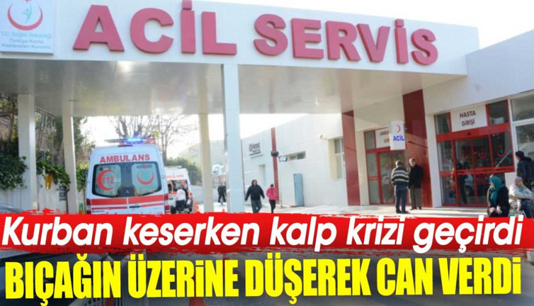 Kurban keserken kalp krizi geçirdi. Bıçağın üzerine düşerek can verdi